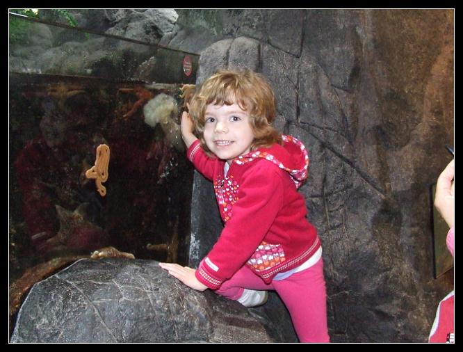 Aquarium