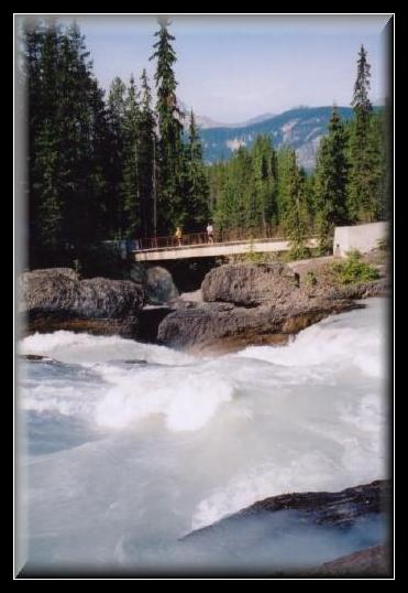 24yoho-np-nbridge