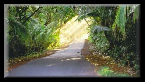 15scenicdrive