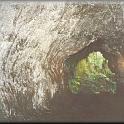 16lavatube